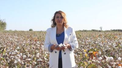 CHP Hatay Milletvekili Nermin Yıldırım Kara, Türkiye’nin pamuk üretiminde ciddi