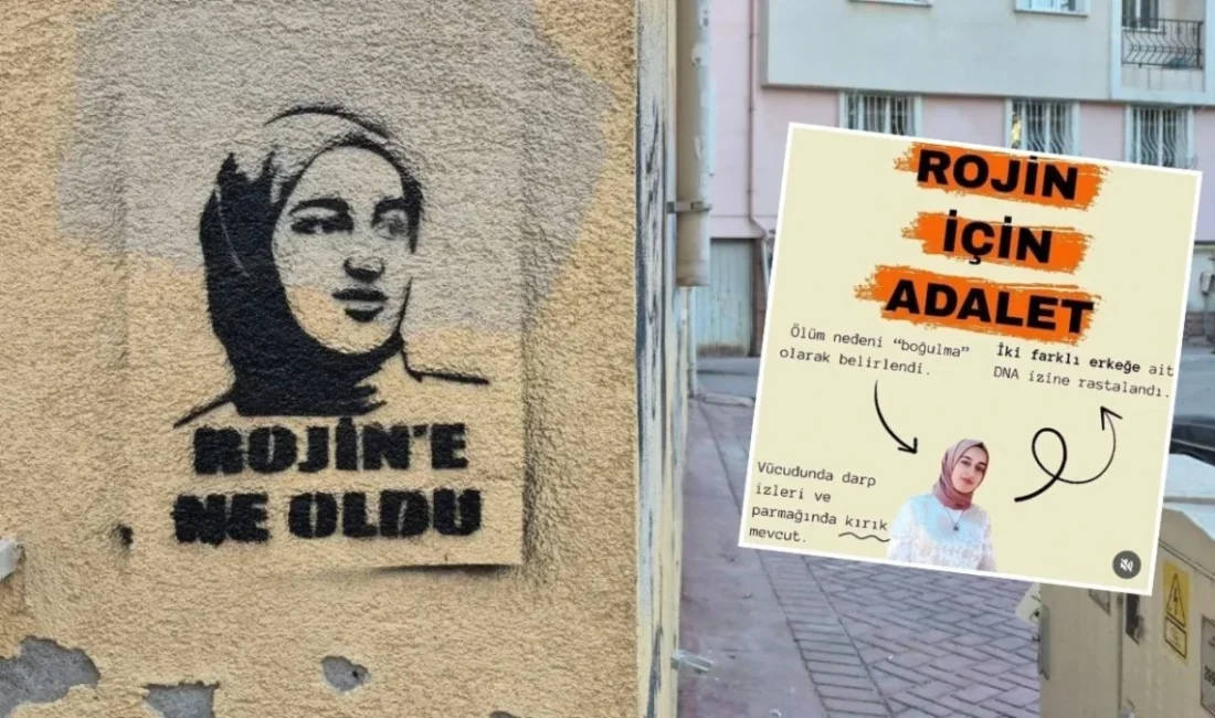 İnsan Hakları Derneği (İHD) İskenderun Şubesi, Rojin Kabaiş’in ölümüyle ilgili