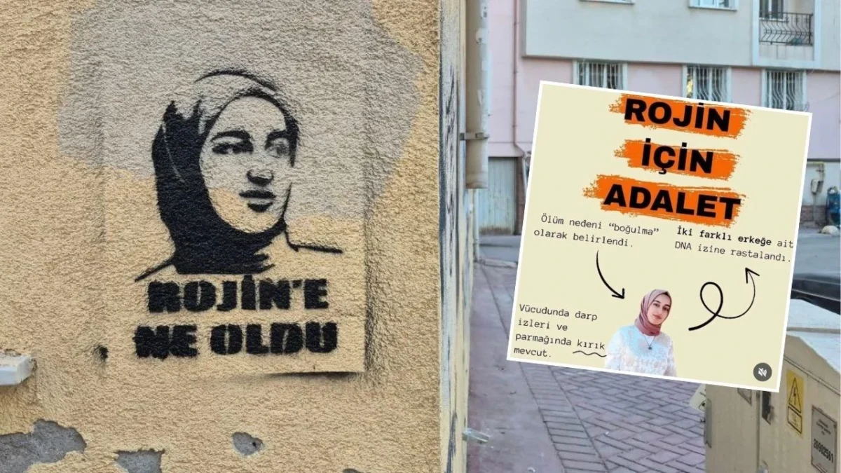 İnsan Hakları Derneği (İHD) İskenderun Şubesi, Rojin Kabaiş’in ölümüyle ilgili