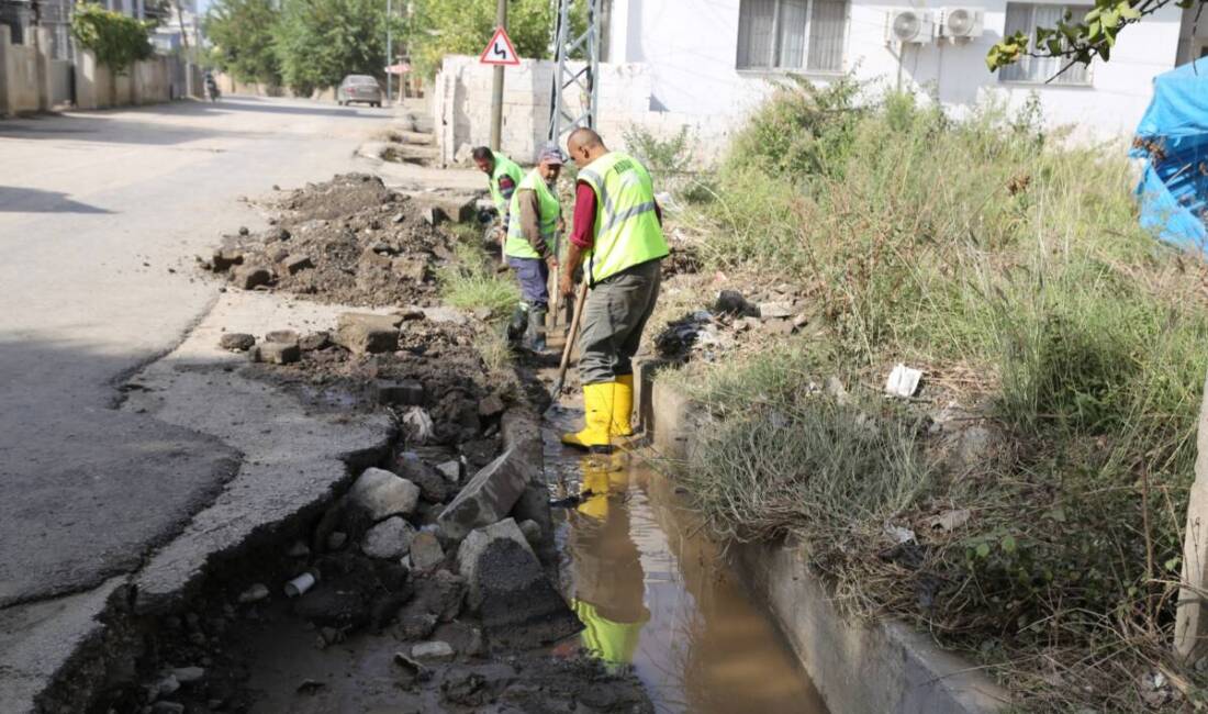 Sel Sonrası Hatay’da Temizlik ve Onarım Seferberliği Hatay Büyükşehir Belediyesi (HBB), geçtiğimiz günlerde yaşanan sel felaketinin ardından