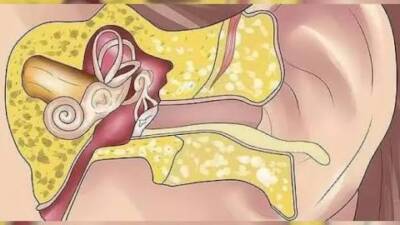 Medipol Mega Üniversite Hastanesi Kulak Burun Boğaz Hastalıkları Uzmanı Prof.