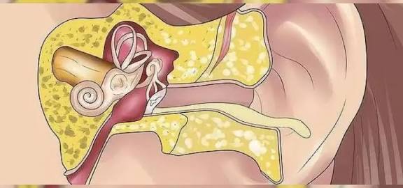 Medipol Mega Üniversite Hastanesi Kulak Burun Boğaz Hastalıkları Uzmanı Prof.