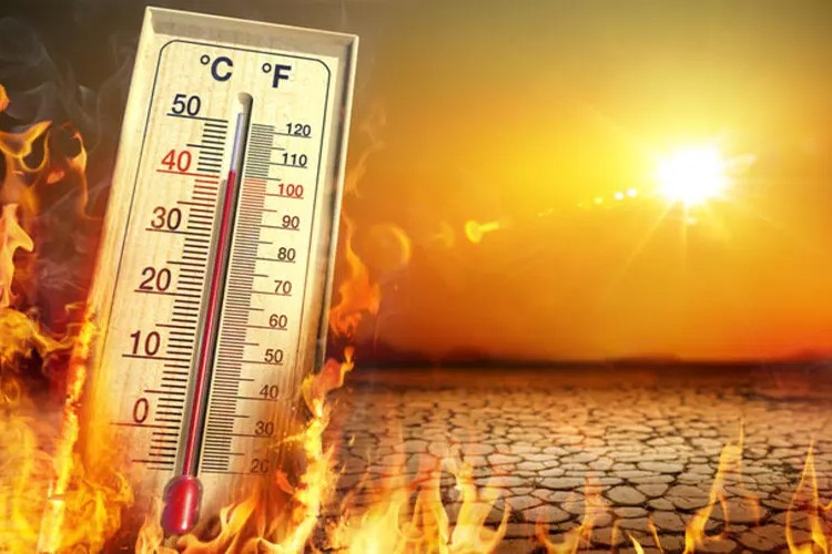 Türkiye, 2025 yazında son 55 yılın en sıcak ikinci yaz