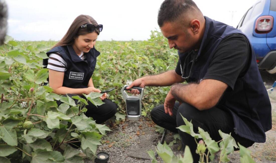 Hatay Büyükşehir Belediyesi (HBB), il genelindeki üreticilere destek sağlamak amacıyla