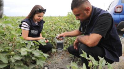 Hatay Büyükşehir Belediyesi (HBB), il genelindeki üreticilere destek sağlamak amacıyla