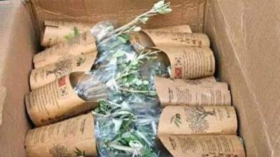 Hatay’da geçtiğimiz yıllarda orman yangınlarında zarar gören araziler için anlamlı