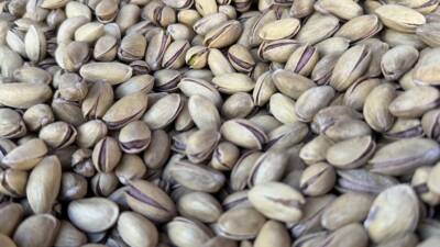 Türkiye, 2024 yılının ocak-eylül döneminde 89 ülkeye 152 milyon 622