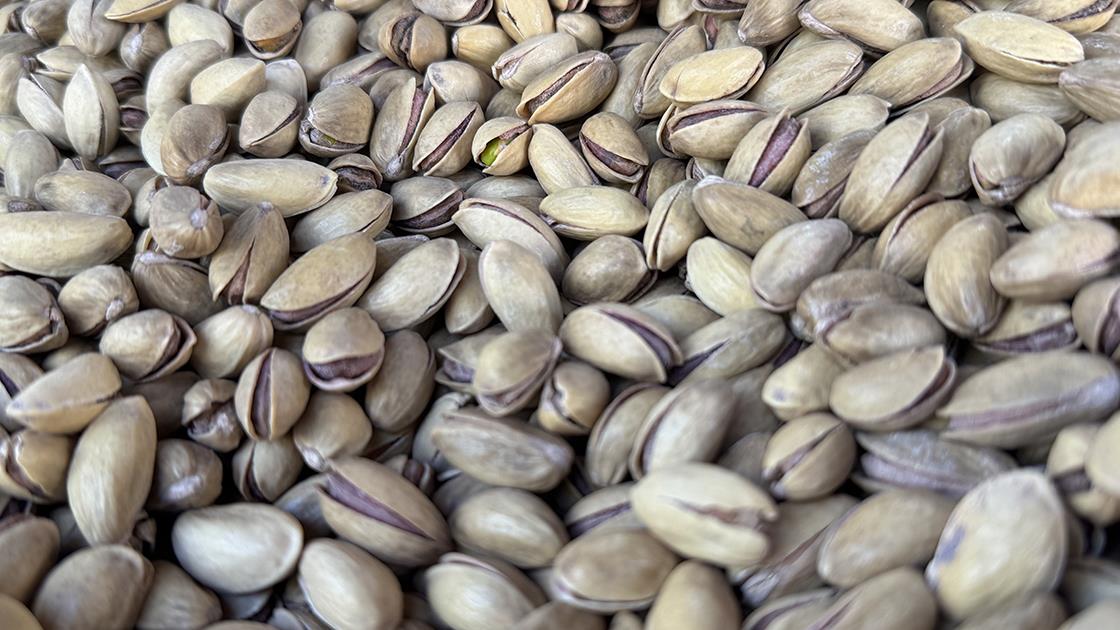 Türkiye, 2024 yılının ocak-eylül döneminde 89 ülkeye 152 milyon 622