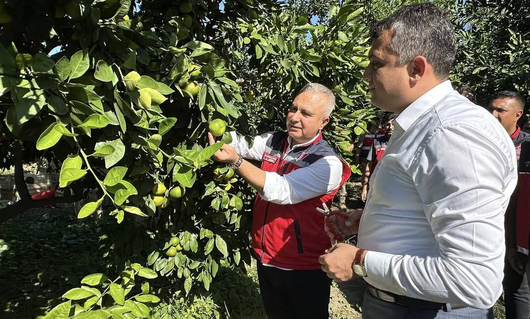 Hatay İl Tarım ve Orman Müdürlüğü tarafından yapılan açıklamada, ilin