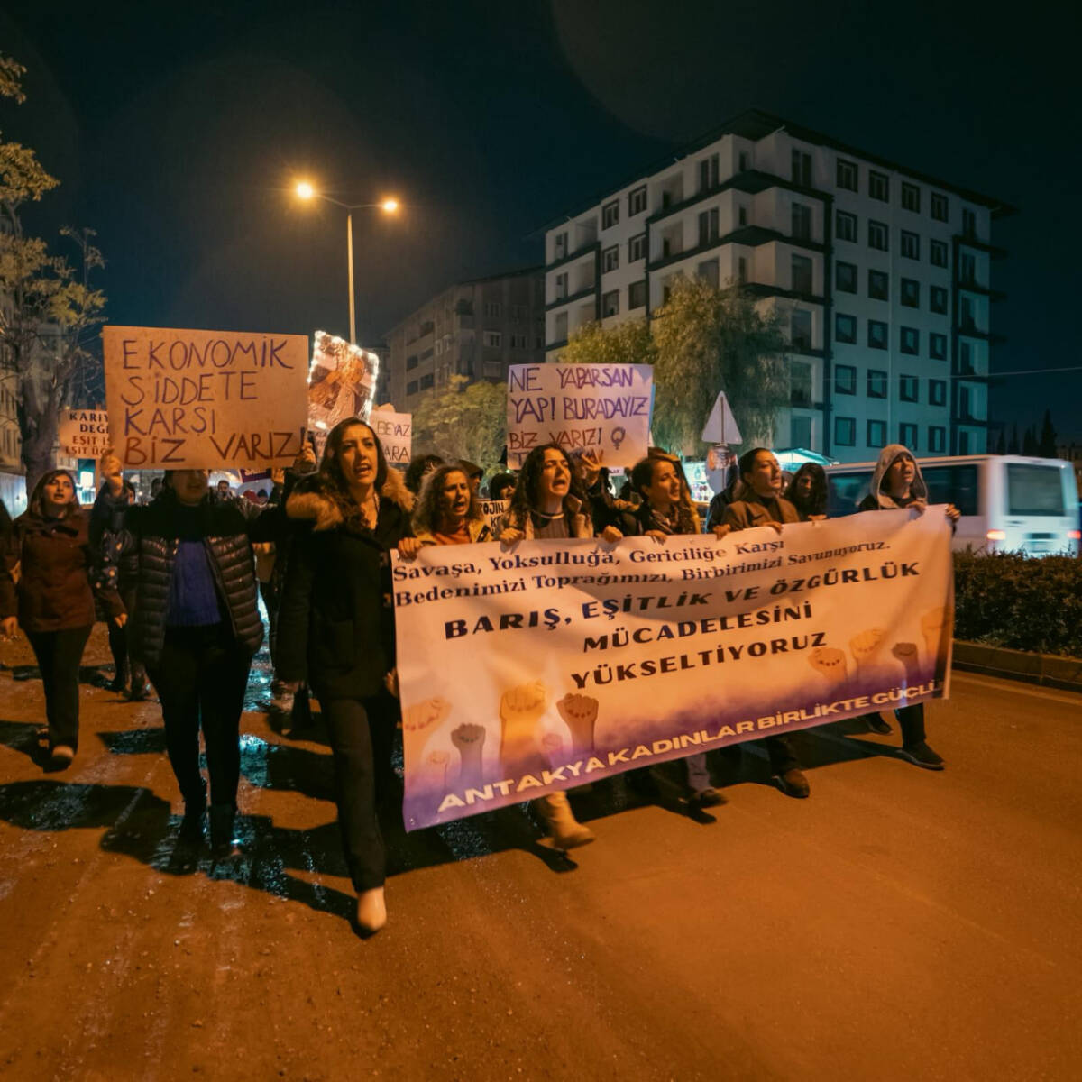 Hataylı kadınlar, 25 Kasım Kadına Yönelik Şiddete Karşı Uluslararası Mücadele