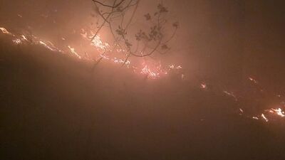   Hatay’ın Arsuz ilçesine bağlı Karagöz Mahallesi’ndeki ormanlık alanda, yıldırım