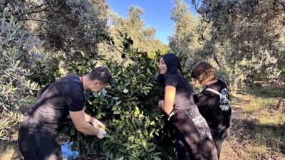Hatay’ın Dörtyol ilçesinde yürütülen “Anadoluyuz Biz” projesi kapsamında kente gelen