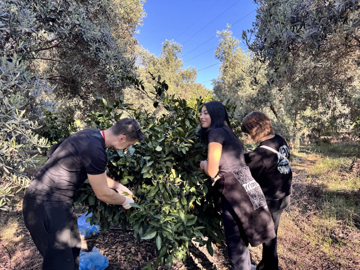 Hatay’ın Dörtyol ilçesinde yürütülen “Anadoluyuz Biz” projesi kapsamında kente gelen