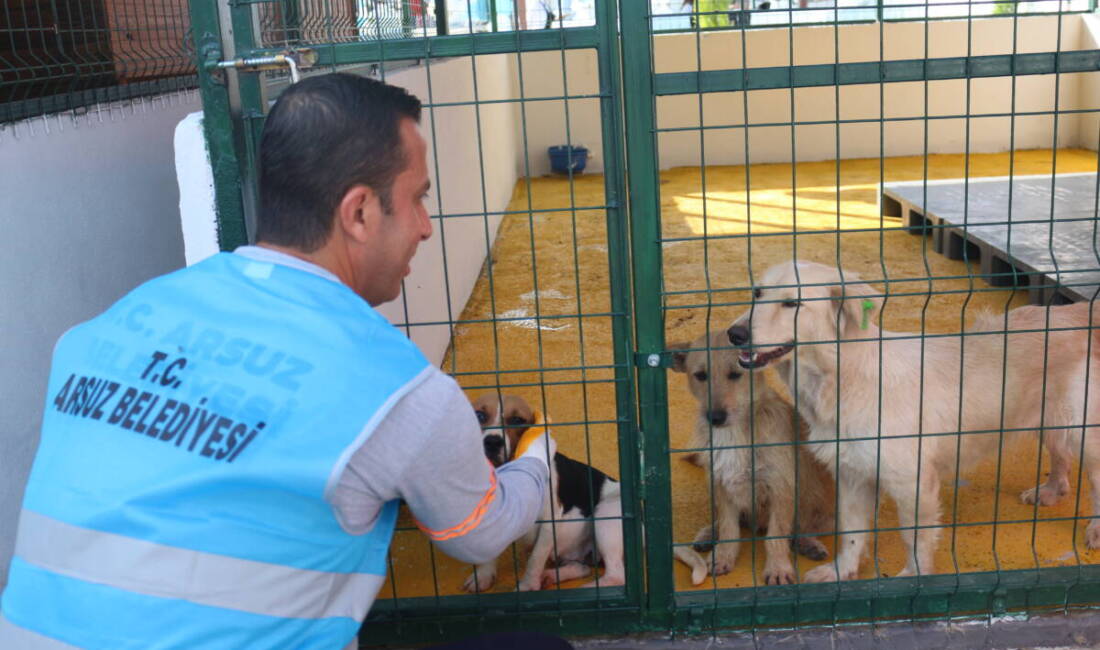 Arsuz ilçesinde, sahipsiz hayvanlara hizmet verecek Sokak Hayvanları Bakım ve