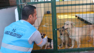 Arsuz ilçesinde, sahipsiz hayvanlara hizmet verecek Sokak Hayvanları Bakım ve