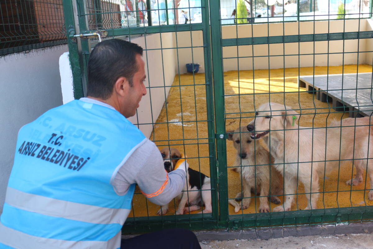 Arsuz ilçesinde, sahipsiz hayvanlara hizmet verecek Sokak Hayvanları Bakım ve