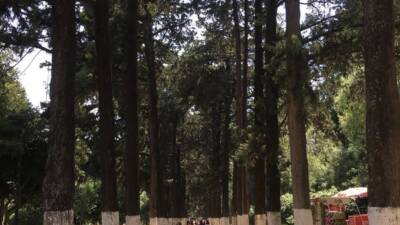 AK Parti Hatay İl Başkanı Mustafa Erdoğan, 6 Şubat depremlerinde