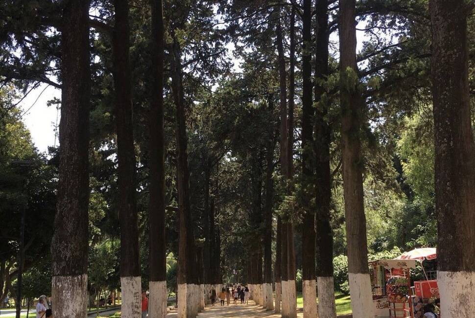 AK Parti Hatay İl Başkanı Mustafa Erdoğan, 6 Şubat depremlerinde