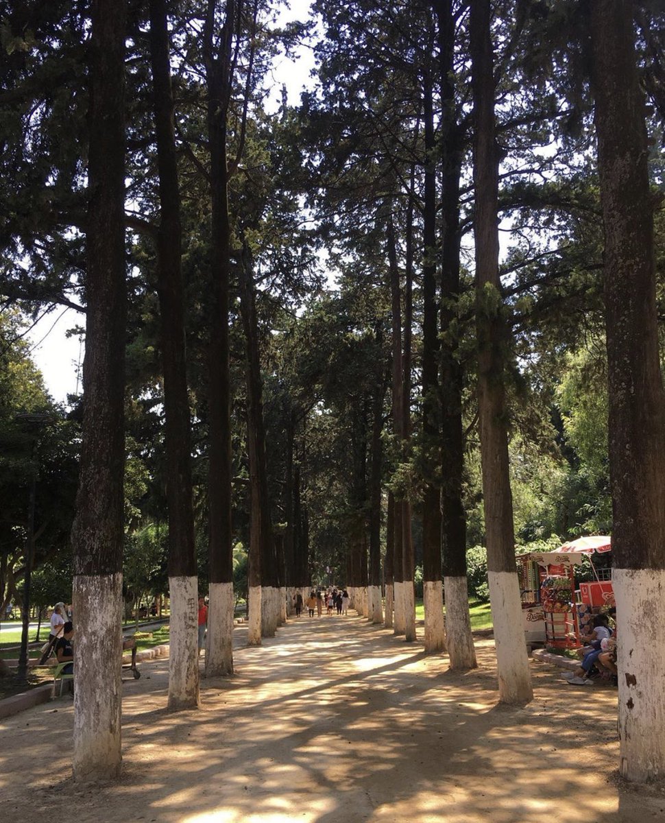 AK Parti Hatay İl Başkanı Mustafa Erdoğan, 6 Şubat depremlerinde