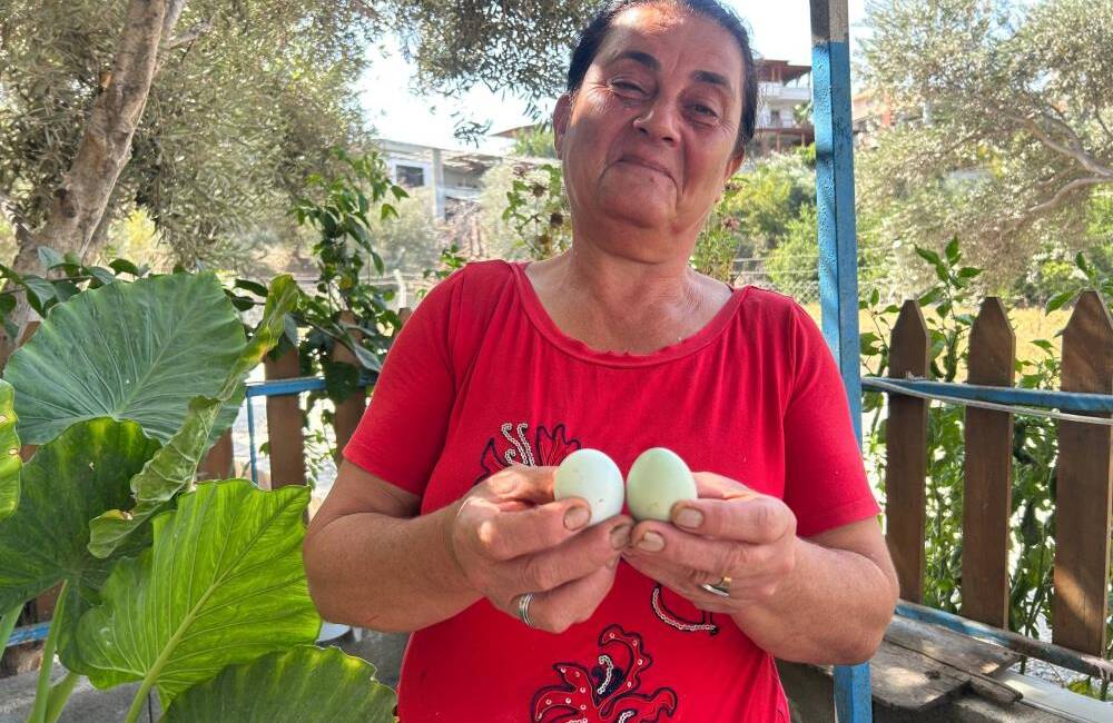 Hatay’da kümesinde bulunan 100 tavuğuyla yumurta üretimi yapan Nafile Sürmeli,