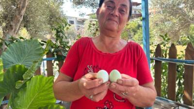 Hatay’da kümesinde bulunan 100 tavuğuyla yumurta üretimi yapan Nafile Sürmeli,