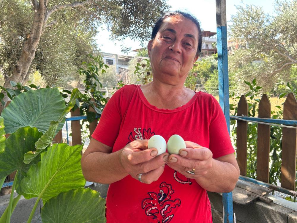 Hatay’da kümesinde bulunan 100 tavuğuyla yumurta üretimi yapan Nafile Sürmeli,