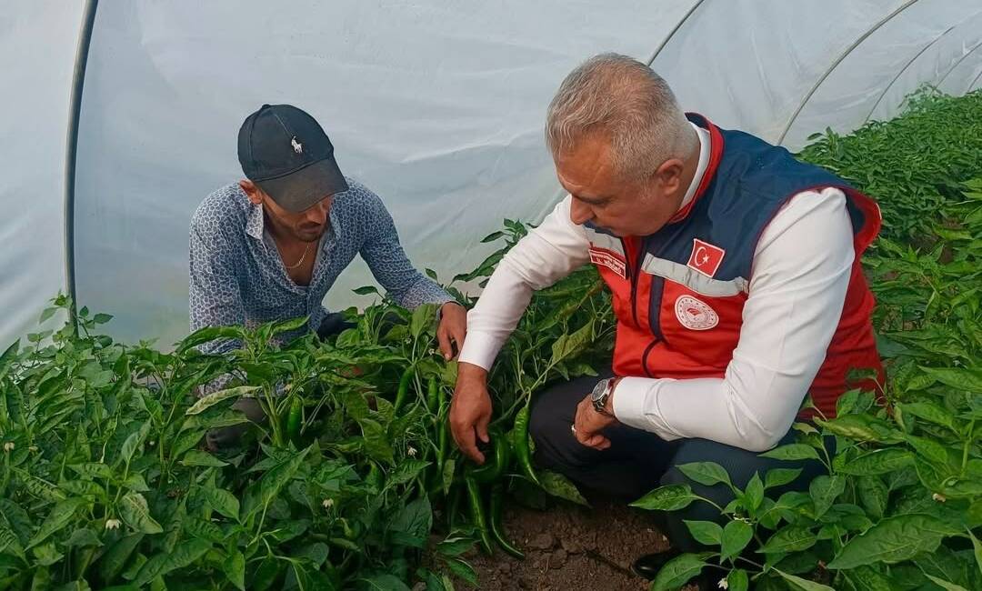 Hatay İl Tarım ve Orman Müdürü Abdurrahman Türkmen, Samandağ ilçesinde