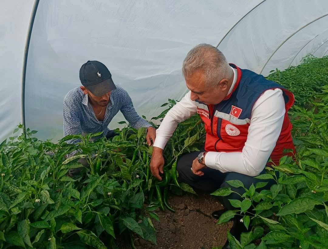 Hatay İl Tarım ve Orman Müdürü Abdurrahman Türkmen, Samandağ ilçesinde