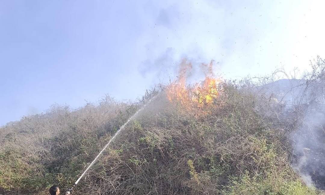   Hatay’ın Samandağ ilçesi Yoğunoluk mevkiinde ormanlık ve zeytinlik alanlarda