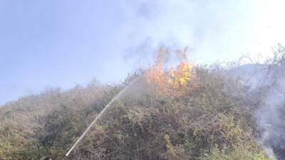   Hatay’ın Samandağ ilçesi Yoğunoluk mevkiinde ormanlık ve zeytinlik alanlarda