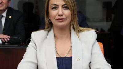 CHP Hatay Milletvekili Nermin Yıldırım Kara, TBMM Plan ve Bütçe