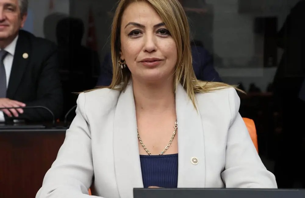 CHP Hatay Milletvekili Nermin Yıldırım Kara, TBMM Plan ve Bütçe
