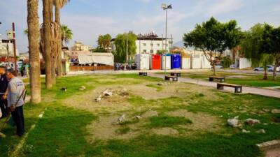 Türk Tabipleri Birliği’nin eski genel başkanı merhume Prof. Dr. Füsun