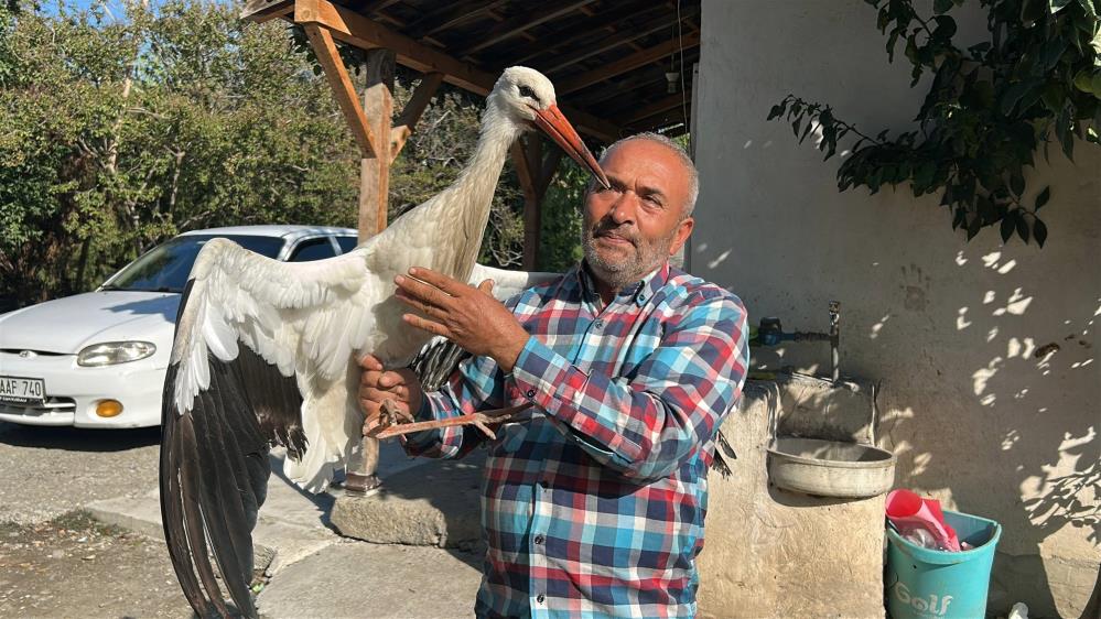 Hatay’ın Dörtyol ilçesinde bir vatandaş, evinin bahçesinde bulduğu yaralı leyleği