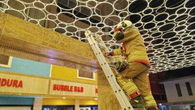 Hatay’ın İskenderun ilçesinde, Çay Mahallesi’ndeki ayakkabıcılar çarşısında bir kedi, duvar