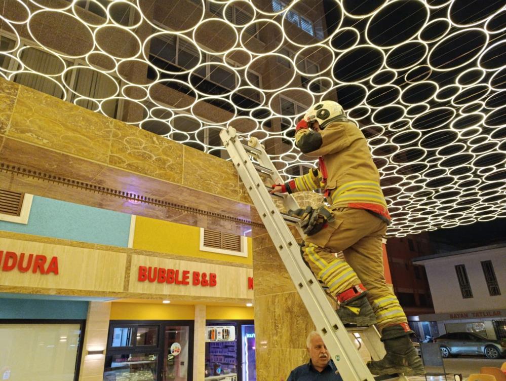 Hatay’ın İskenderun ilçesinde, Çay Mahallesi’ndeki ayakkabıcılar çarşısında bir kedi, duvar
