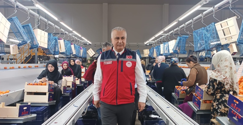 Hatay Tarım ve Orman İl Müdürü Türkmen, narenciye paketleme tesislerinde