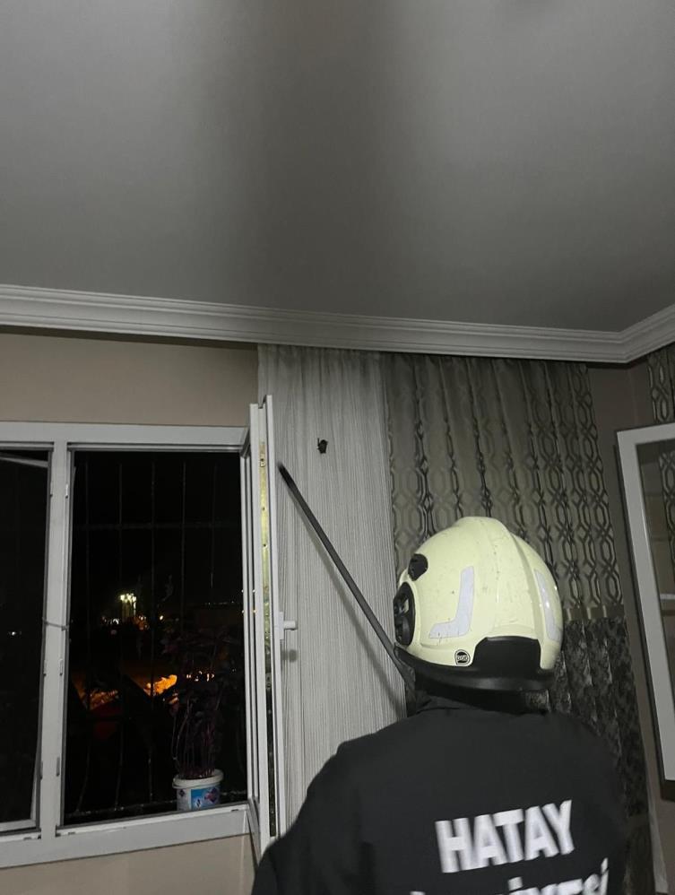 Hatay’ın Arsuz ilçesinde bir eve giren yarasa, itfaiye ekiplerinin müdahalesiyle