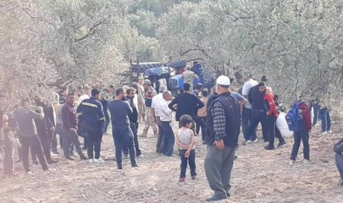Hatay’ın Altınözü ilçesine bağlı Toprakhisar Mahallesi’nde zeytin hasadı sırasında meydana