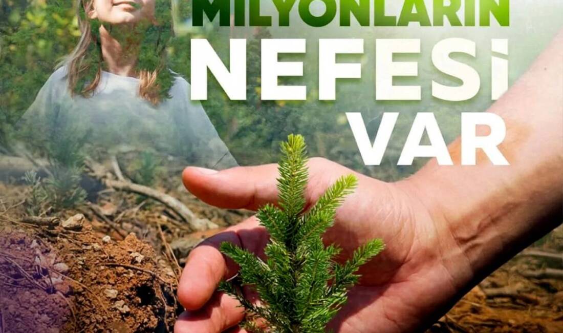 Hatay’da doğa gönüllüleri, 11 Kasım Milli Ağaçlandırma Günü için hazırlıklara