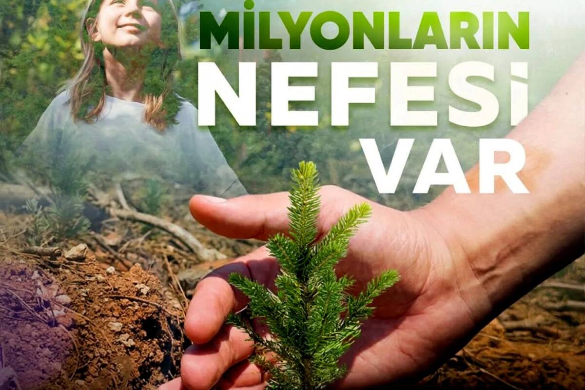 Hatay’da doğa gönüllüleri, 11 Kasım Milli Ağaçlandırma Günü için hazırlıklara