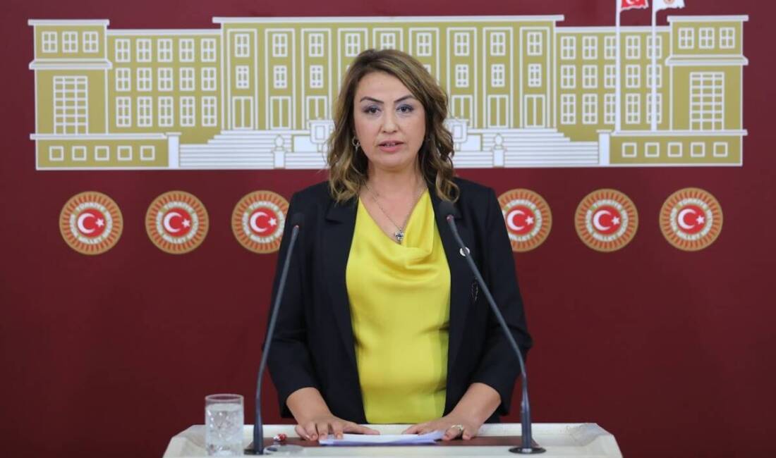 CHP Hatay Milletvekili Nermin Yıldırım Kara, suça karışan çocuklara yönelik