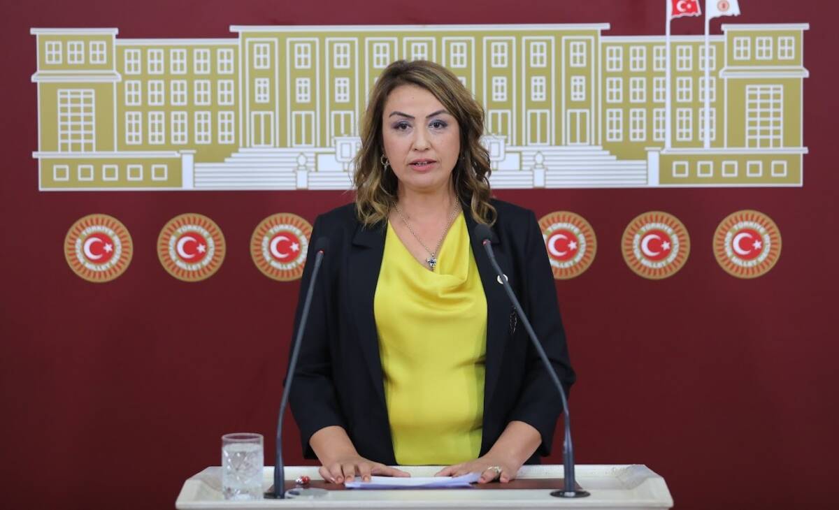 CHP Hatay Milletvekili Nermin Yıldırım Kara, suça karışan çocuklara yönelik