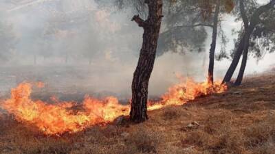 Antakya Maraşboğazı’nda çıkan orman yangını, itfaiye ve orman ekiplerinin koordineli