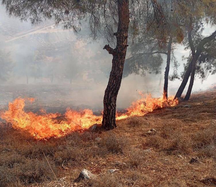 Antakya Maraşboğazı’nda çıkan orman yangını, itfaiye ve orman ekiplerinin koordineli