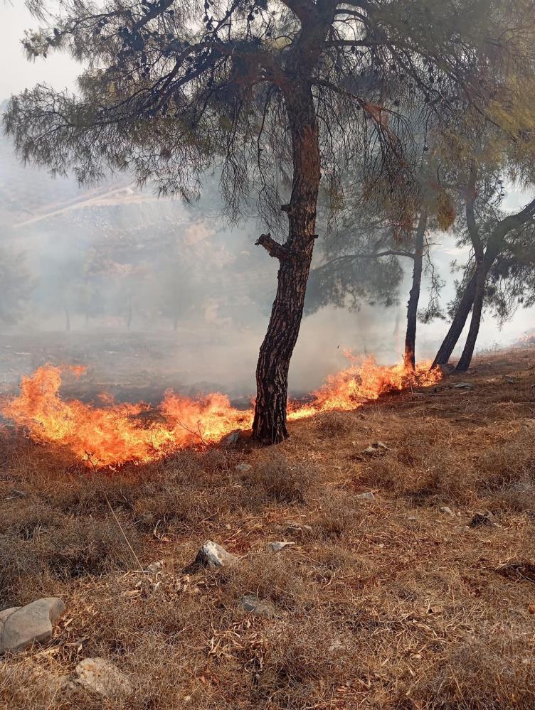 Hatay’da Orman Yangını Korkuttu Antakya Maraşboğazı’nda çıkan orman yangını, itfaiye ve orman ekiplerinin koordineli