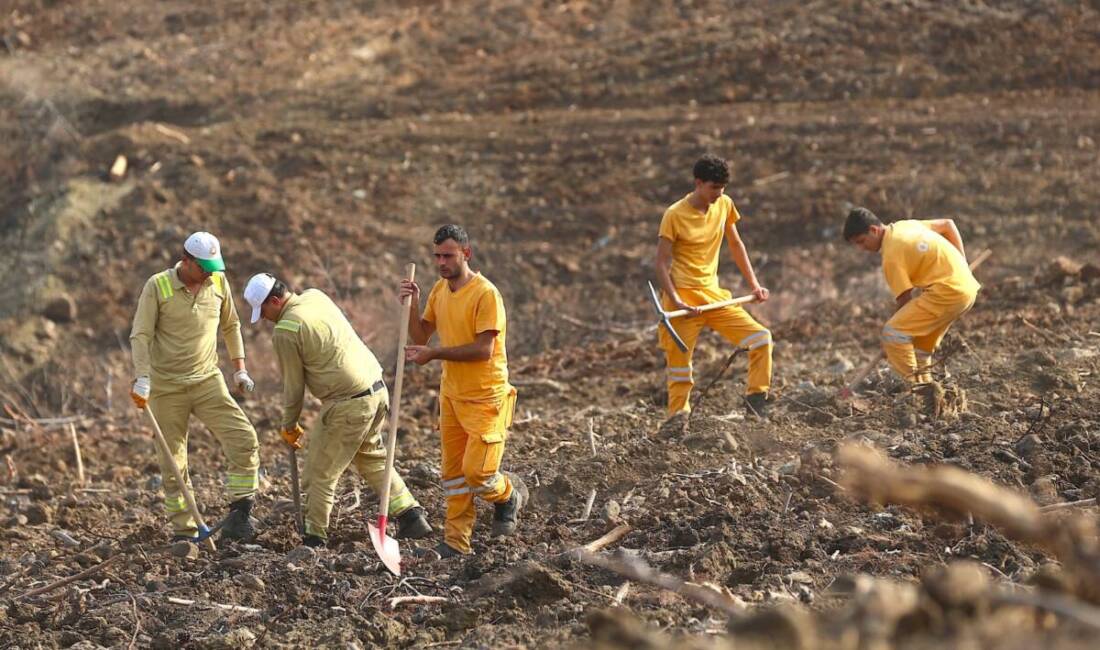 Hatay Orman Bölge Müdürlüğü, yangın ve depremden zarar gören alanlarda