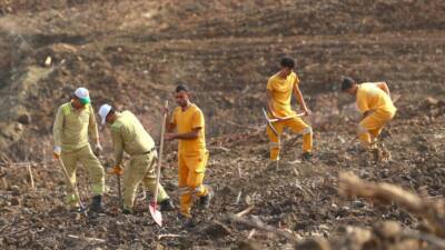 Hatay Orman Bölge Müdürlüğü, yangın ve depremden zarar gören alanlarda