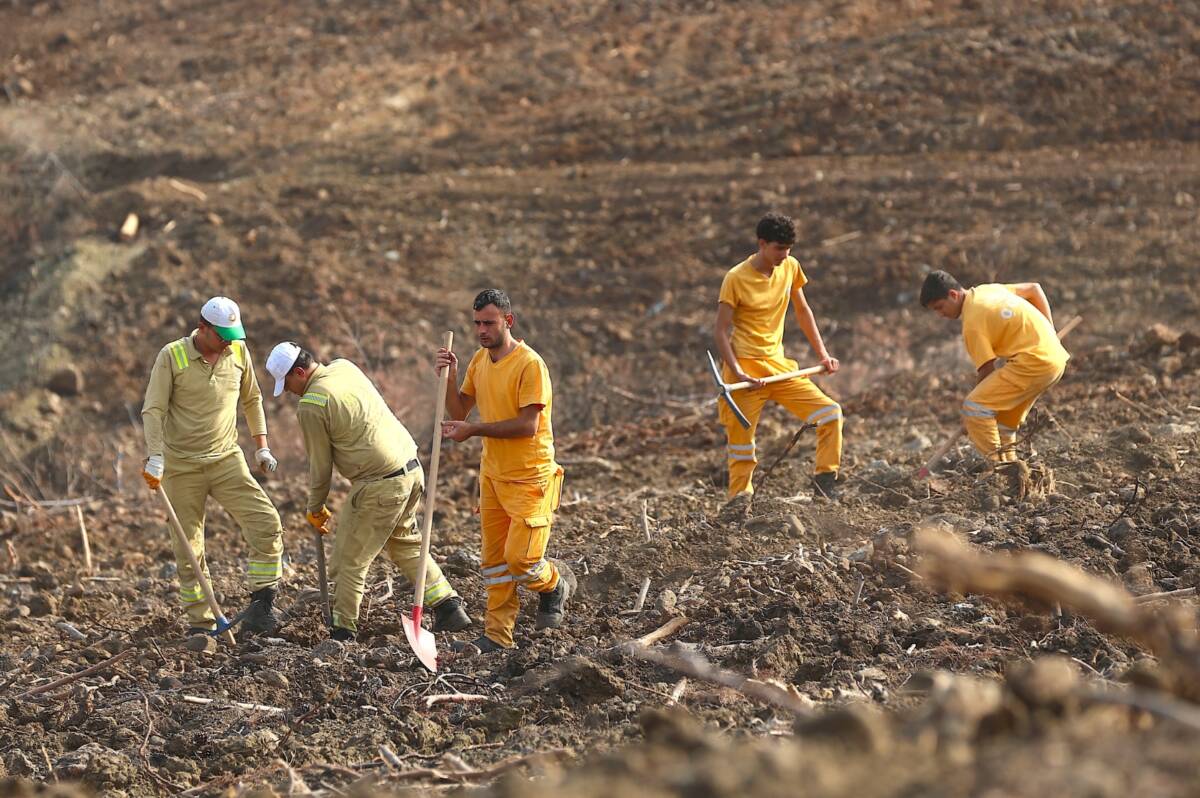 Her Fidan Bir İmza: Hatay’da Yeşil Seferberlik Hatay Orman Bölge Müdürlüğü, yangın ve depremden zarar gören alanlarda