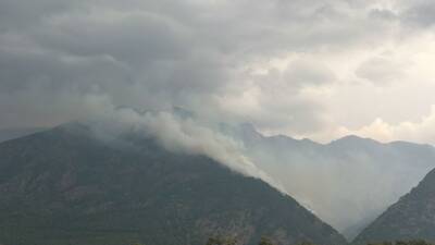 Hatay’ın Arsuz ilçesinde Kale ve Kurtbağı mahallelerinde ormanlık alanlarda çıkan